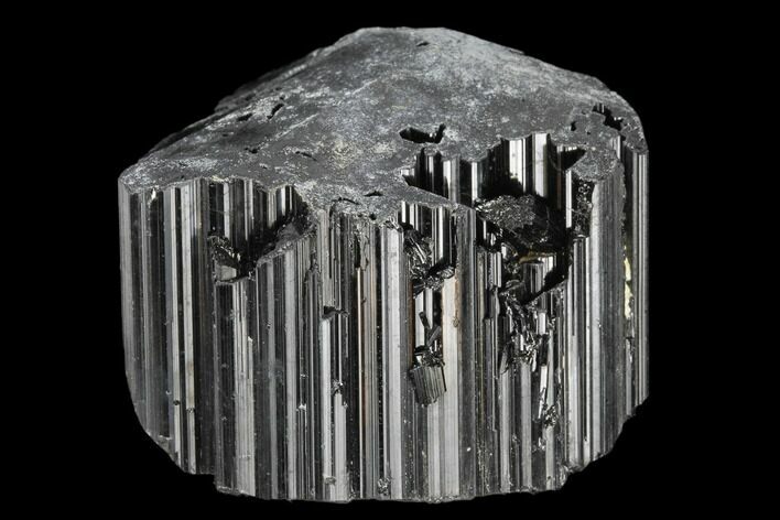 Terminated Black Tourmaline (Schorl) Crystal - Madagascar #174114